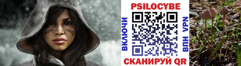 Купить  Семилуки  Псилоцибиновые грибы MAGIC MUSHROOMS 
